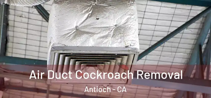Air Duct Cockroach Removal Antioch - CA