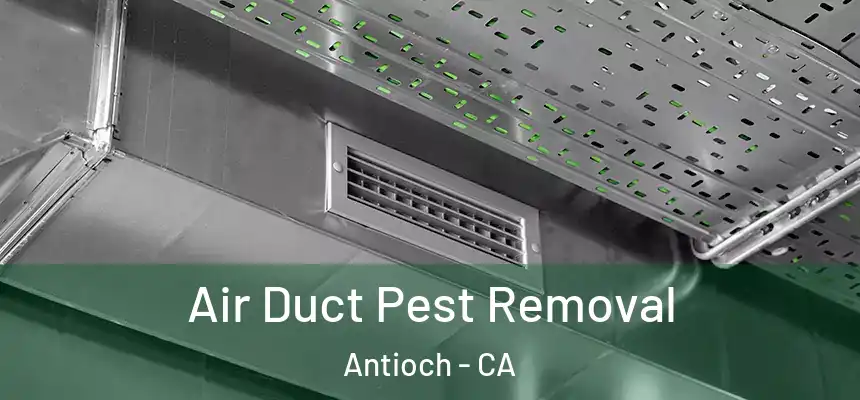  Air Duct Pest Removal Antioch - CA