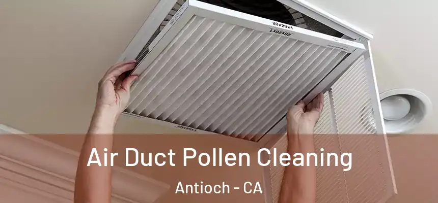  Air Duct Pollen Cleaning Antioch - CA