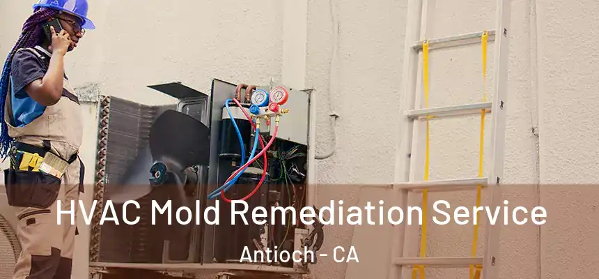  HVAC Mold Remediation Service Antioch - CA