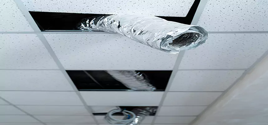 Our Air Duct Pet Hair Removal Services in Antioch, CA