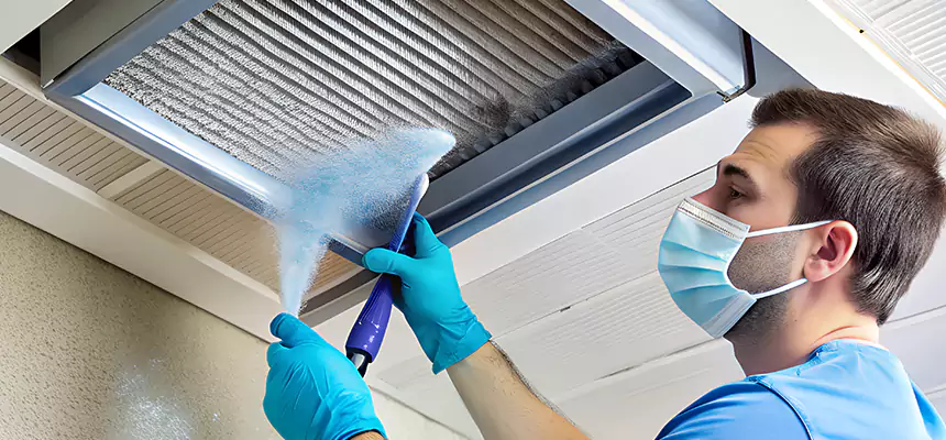 Proactive Dryer Vent & Auxiliary Duct Pollen Cleanup in Antioch, CA