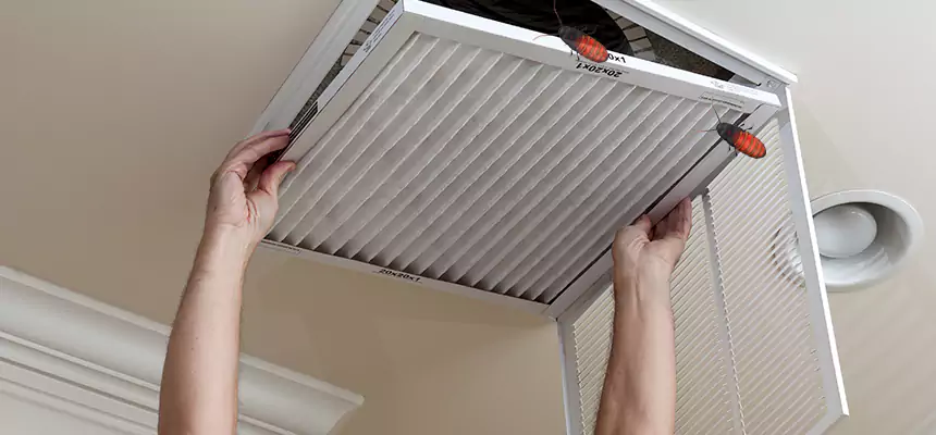 Our Insect Removal from Air Ducts Services in Antioch, CA