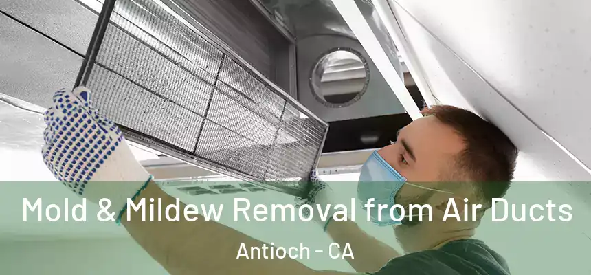 Mold & Mildew Removal from Air Ducts Antioch - CA