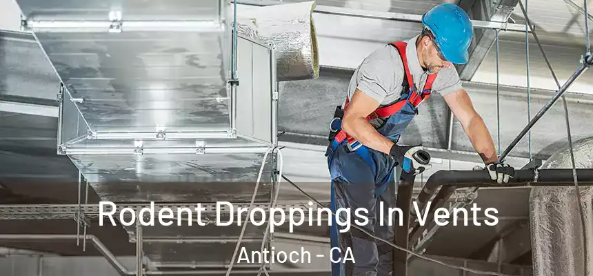 Rodent Droppings In Vents Antioch - CA