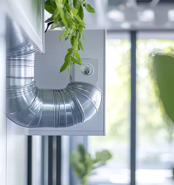 Professional Eco-Friendly Duct Cleaning Services in Antioch, CA