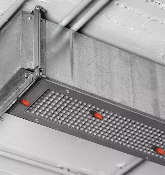 Affordable Insect Removal from Air Ducts in Antioch, CA