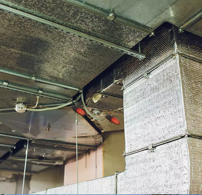 Why Homeowners & Businesses Trust Us in Antioch, CA?