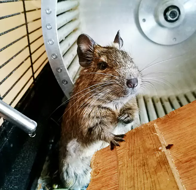 Why Homeowners & Businesses Trust Us Antioch, CA?