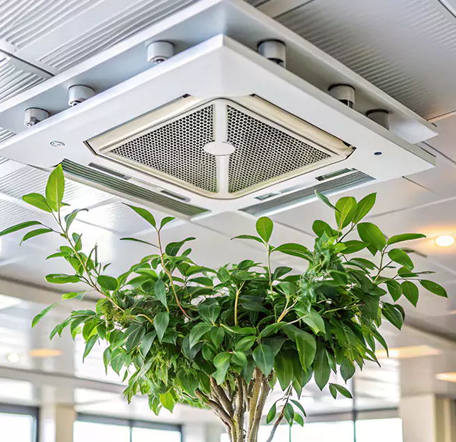 Why Homeowners & Businesses Trust Us in Antioch, CA