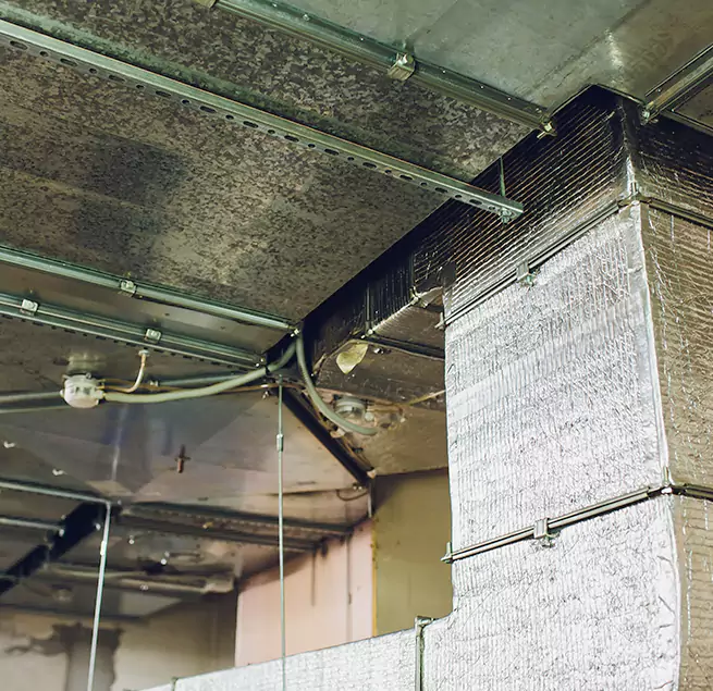 Why Homeowners & Businesses Trust Us in Antioch, CA?